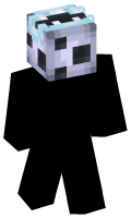 Skinfile