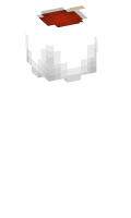 Skinfile