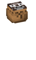 Skinfile
