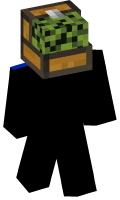 Skinfile