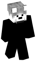 Skinfile
