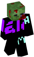 Skinfile