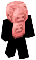 Skinfile