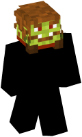 Skinfile