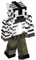 Skinfile