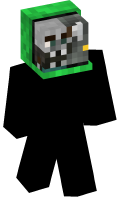 Skinfile