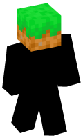 Skinfile