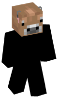 Skinfile