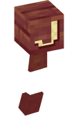 Skinfile