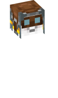 Skinfile