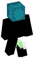 Skinfile