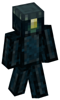 Skinfile