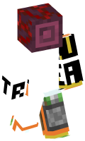 Skinfile