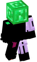 Skinfile