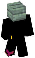 Skinfile