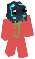 Skinfile