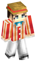 Skinfile