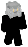 Skinfile