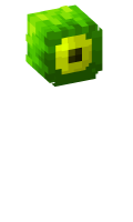 Skinfile