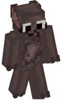 Skinfile