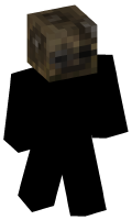 Skinfile