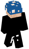 Skinfile