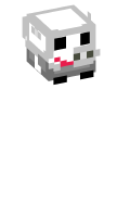 Skinfile