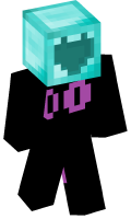 Skinfile