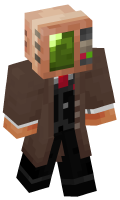 Skinfile