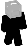 Skinfile