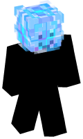 Skinfile