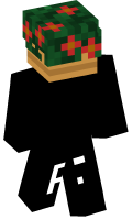 Skinfile