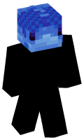 Skinfile