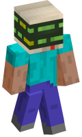 Skinfile