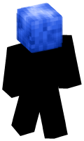Skinfile