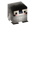 Skinfile