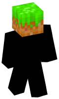 Skinfile