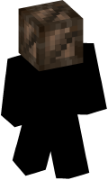 Skinfile
