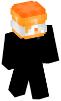 Skinfile
