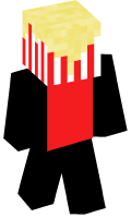 Skinfile
