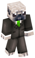 Skinfile
