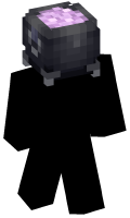 Skinfile
