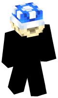 Skinfile