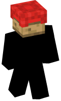 Skinfile