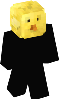 Skinfile