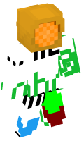 Skinfile