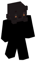 Skinfile