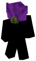 Skinfile