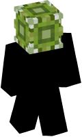 Skinfile