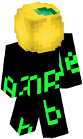 Skinfile